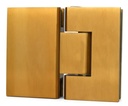 Charnière pour porte en verre Akasha